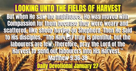 harvest daily devotion|thriftbooks daily devotionals.